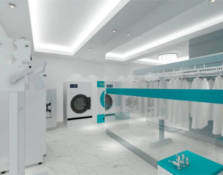 Laundry Appliances